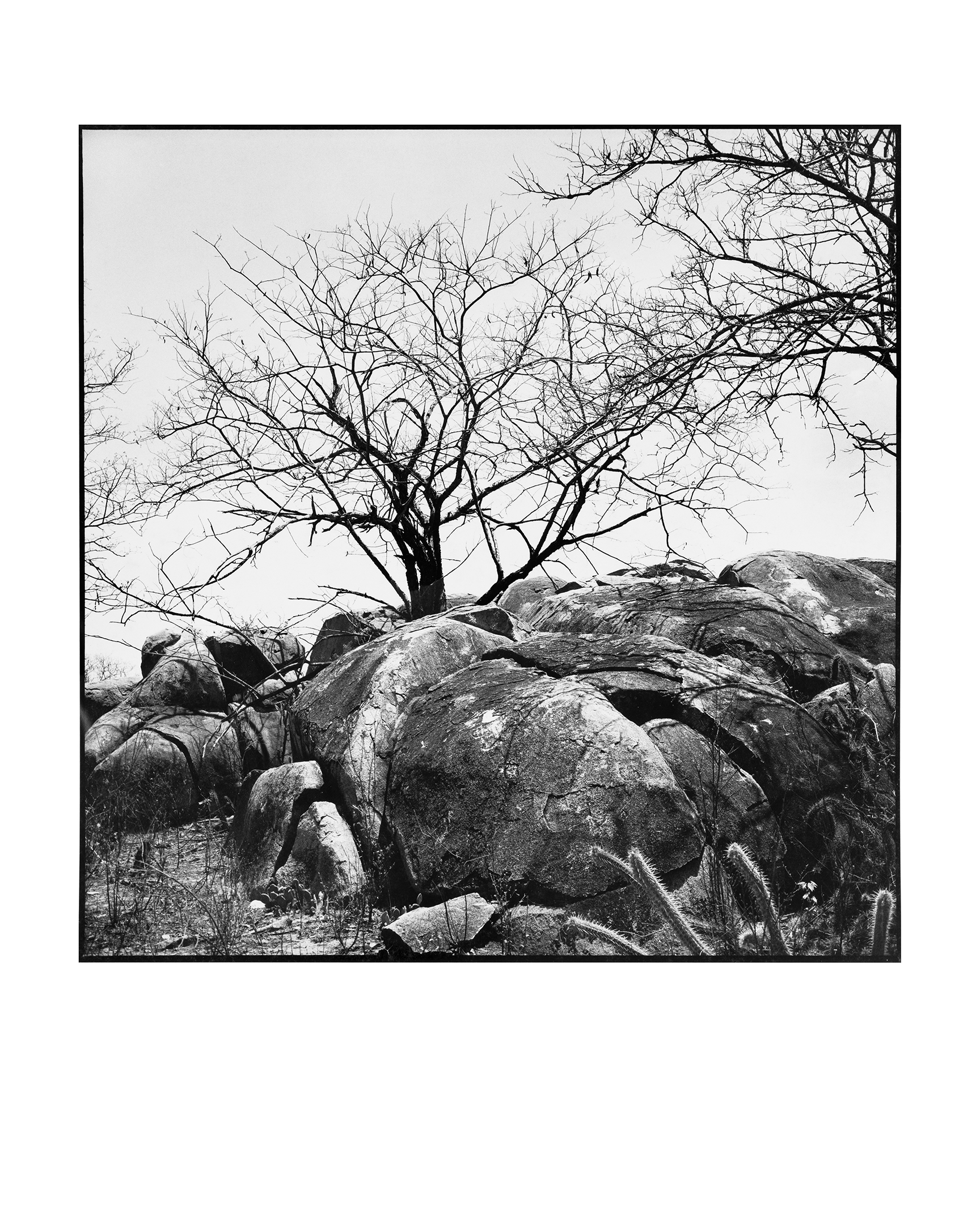 Dscf0915 copiarx